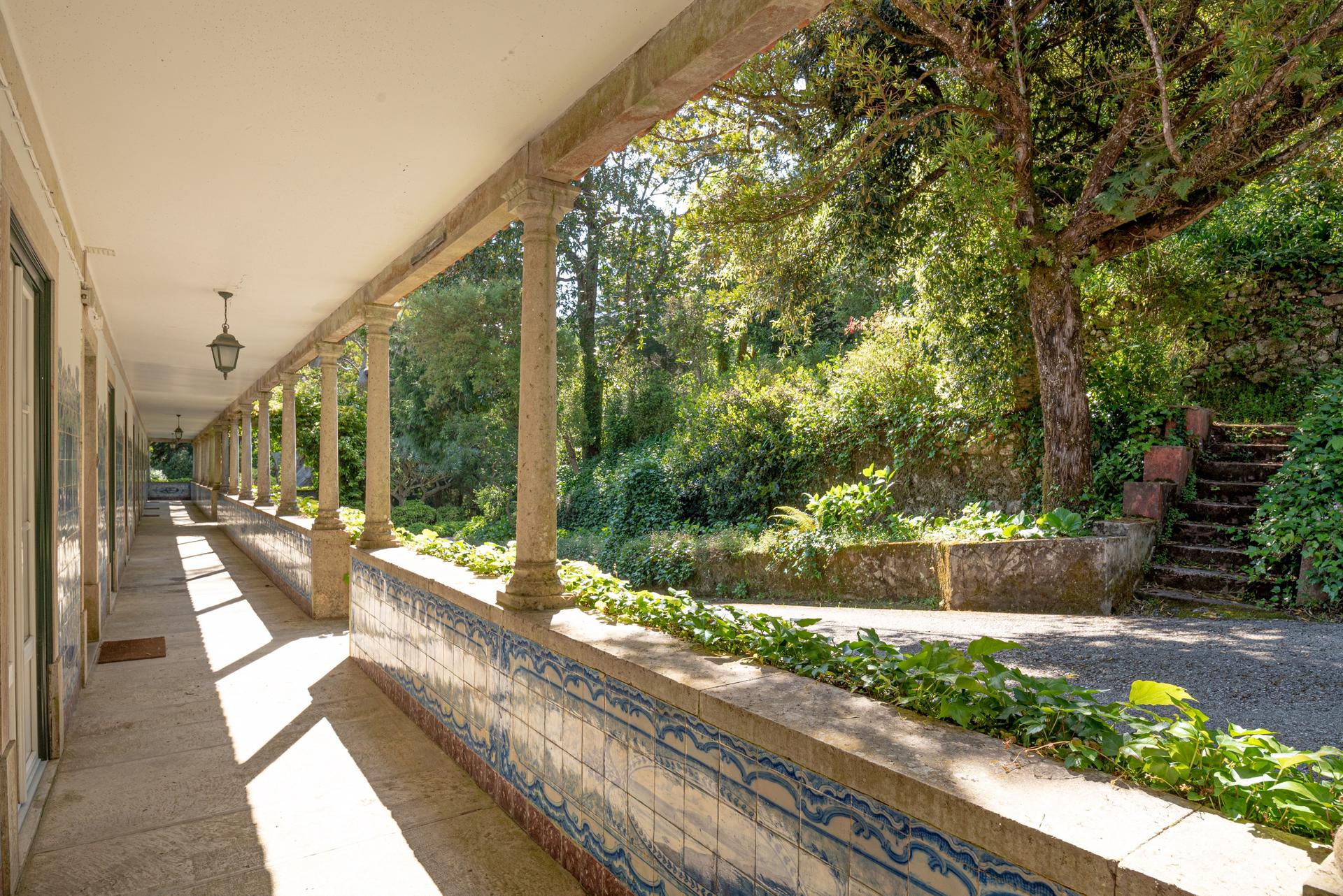 Farm in Sintra (67057) — photograph 2