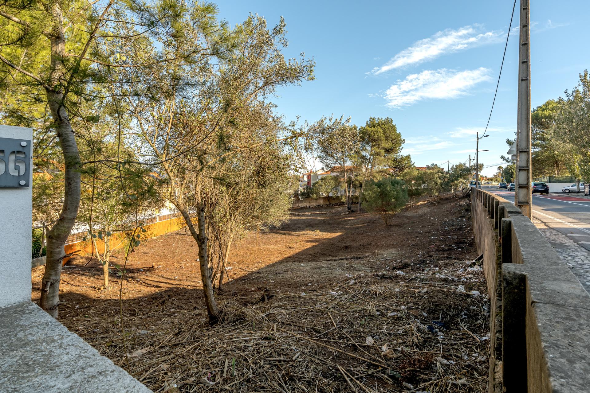 Land in Cascais (93664) — photograph 3