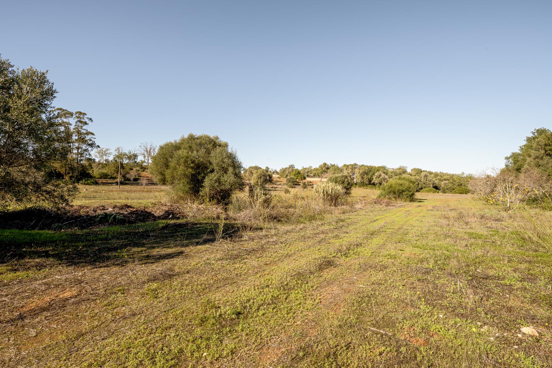 Land in Silves (93912) — photograph 2
