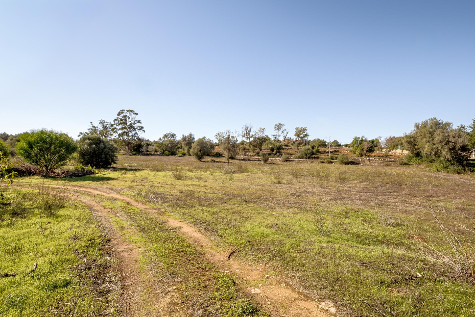 Land in Silves (93912) — photograph 5