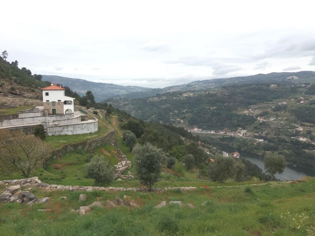 Farm in Cinfães — photograph 2