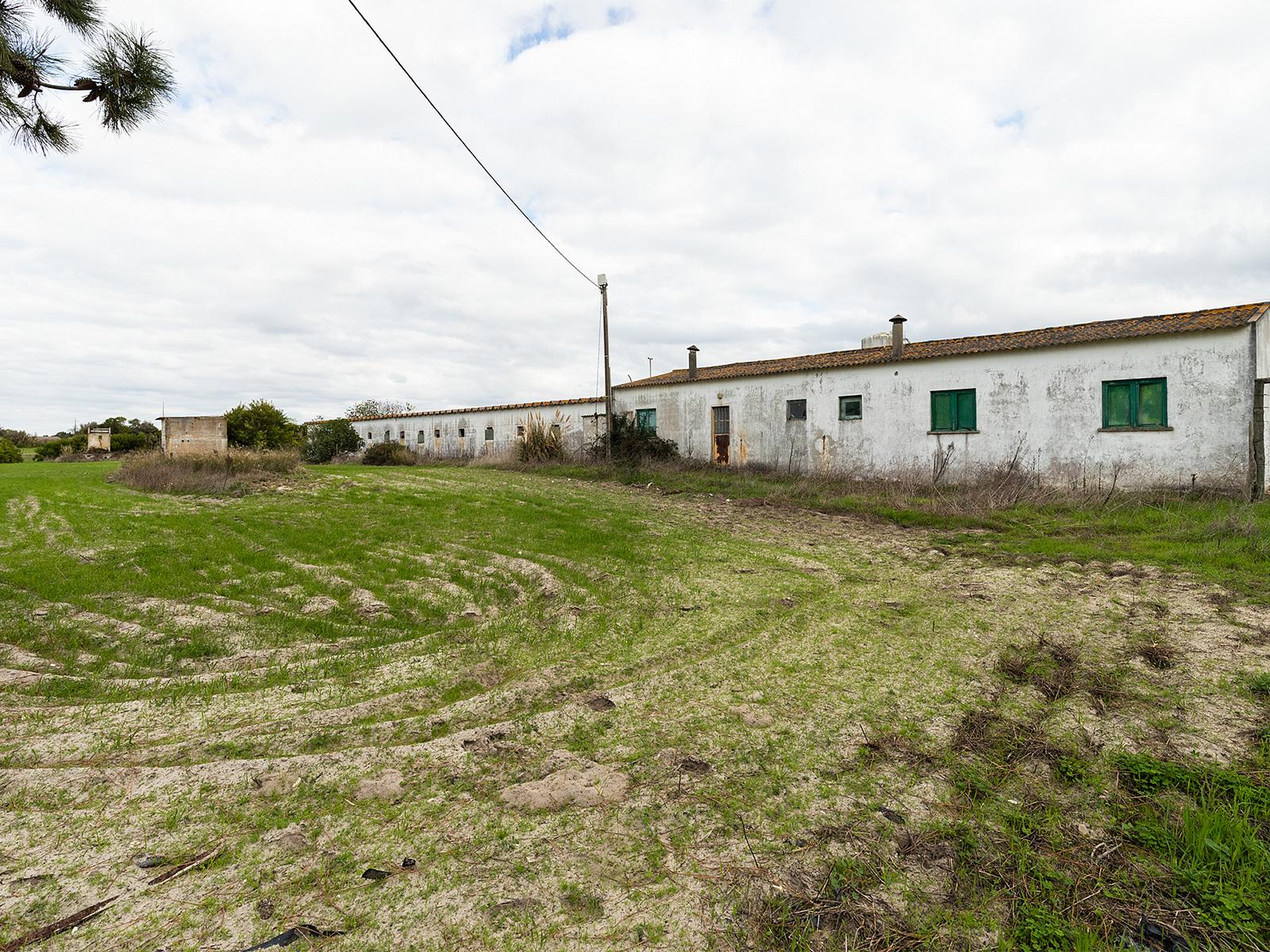Country Estate in Aljezur (61812) — photograph 4