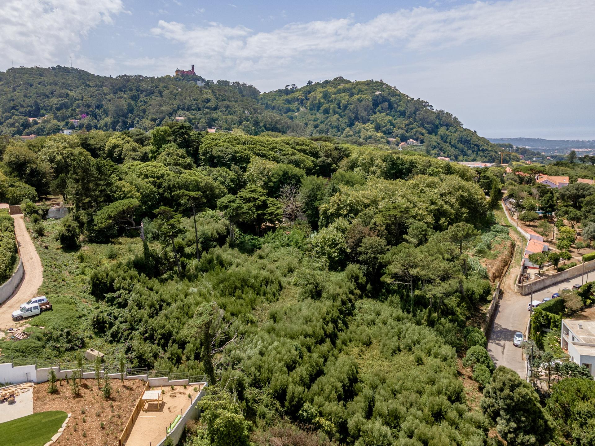 Land in Sintra (82297) — photograph 2