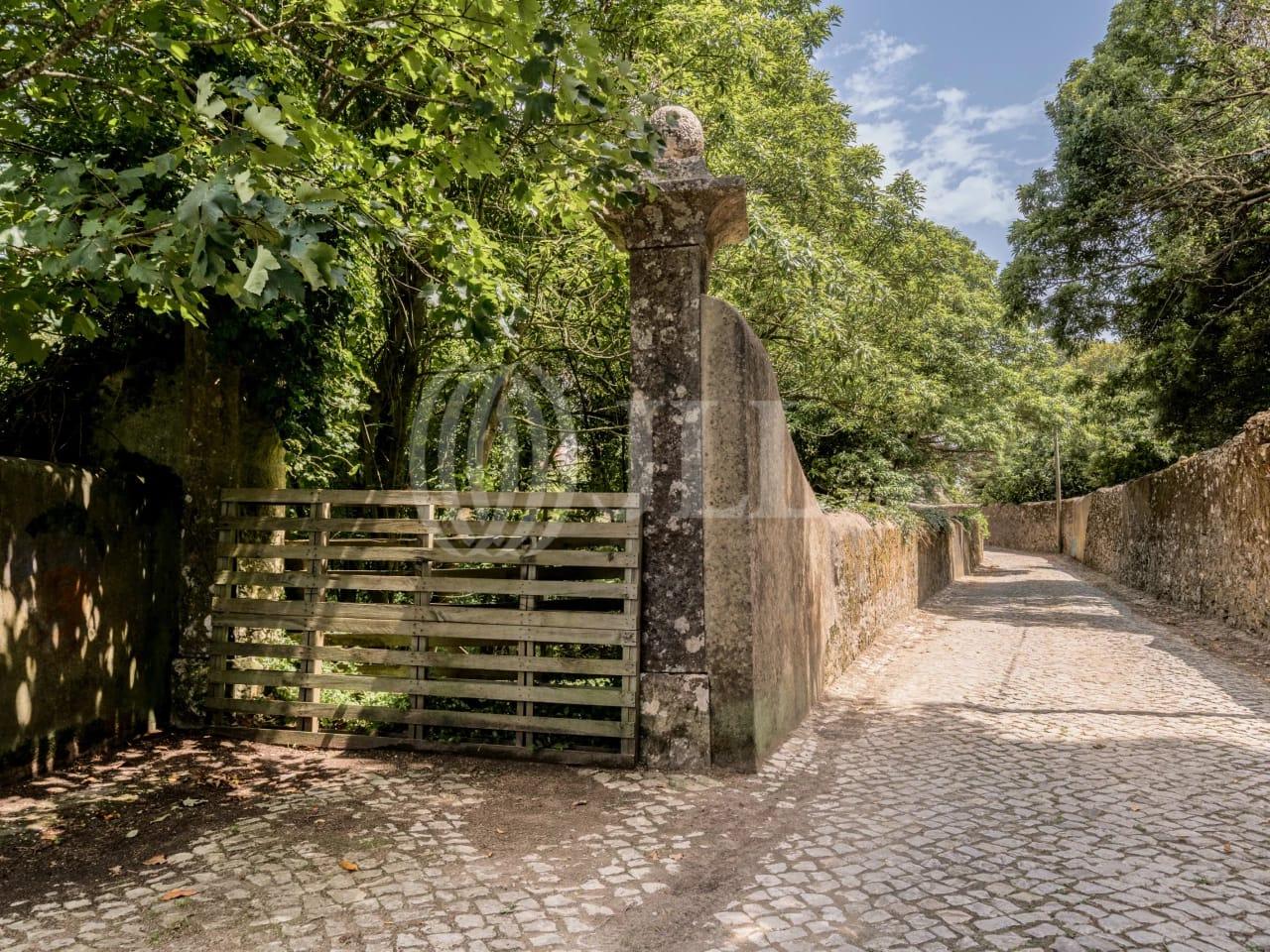 Land in Sintra (82297) — photograph 4