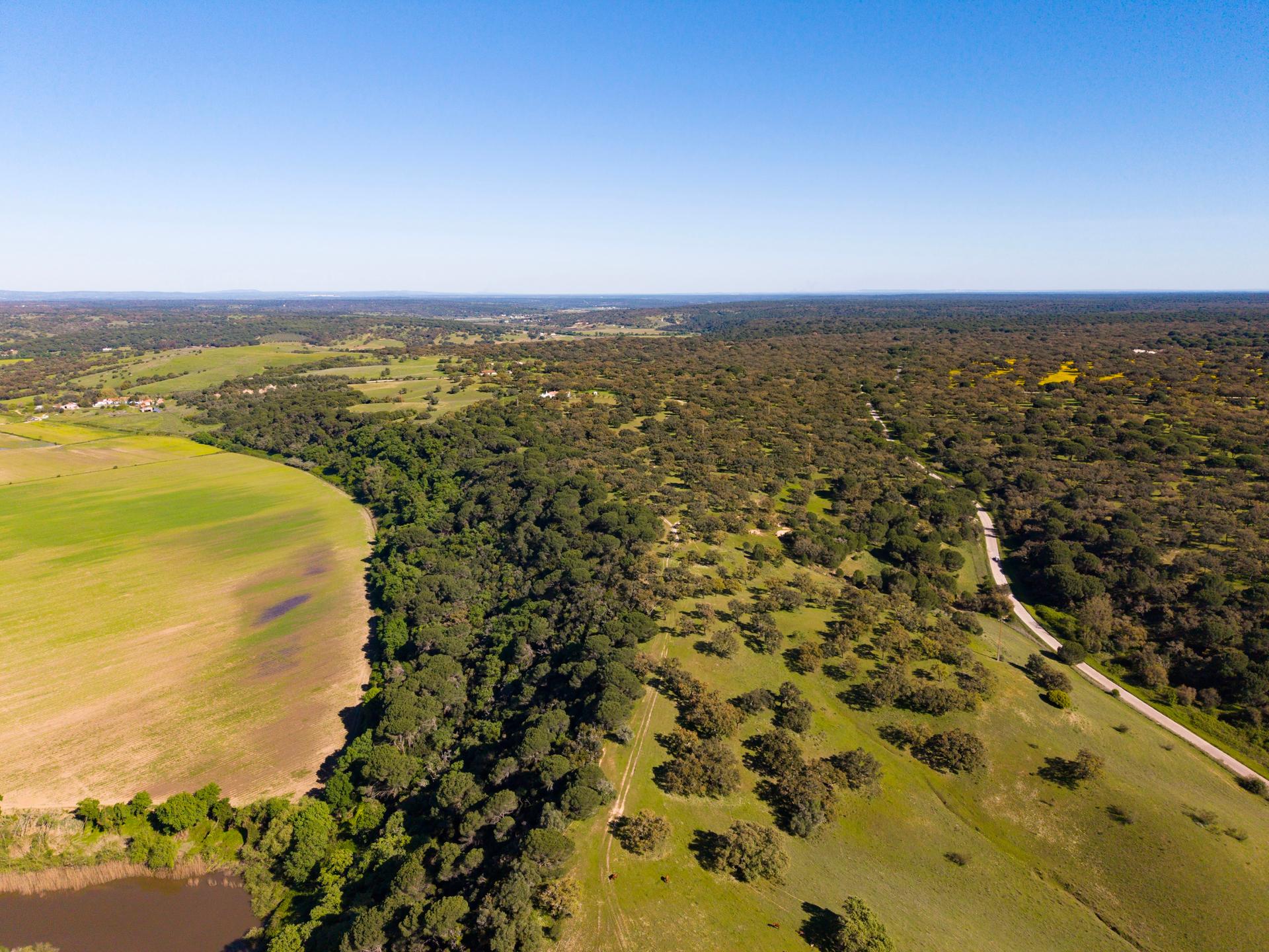 Land in Alcácer do Sal (96043) — photograph 2