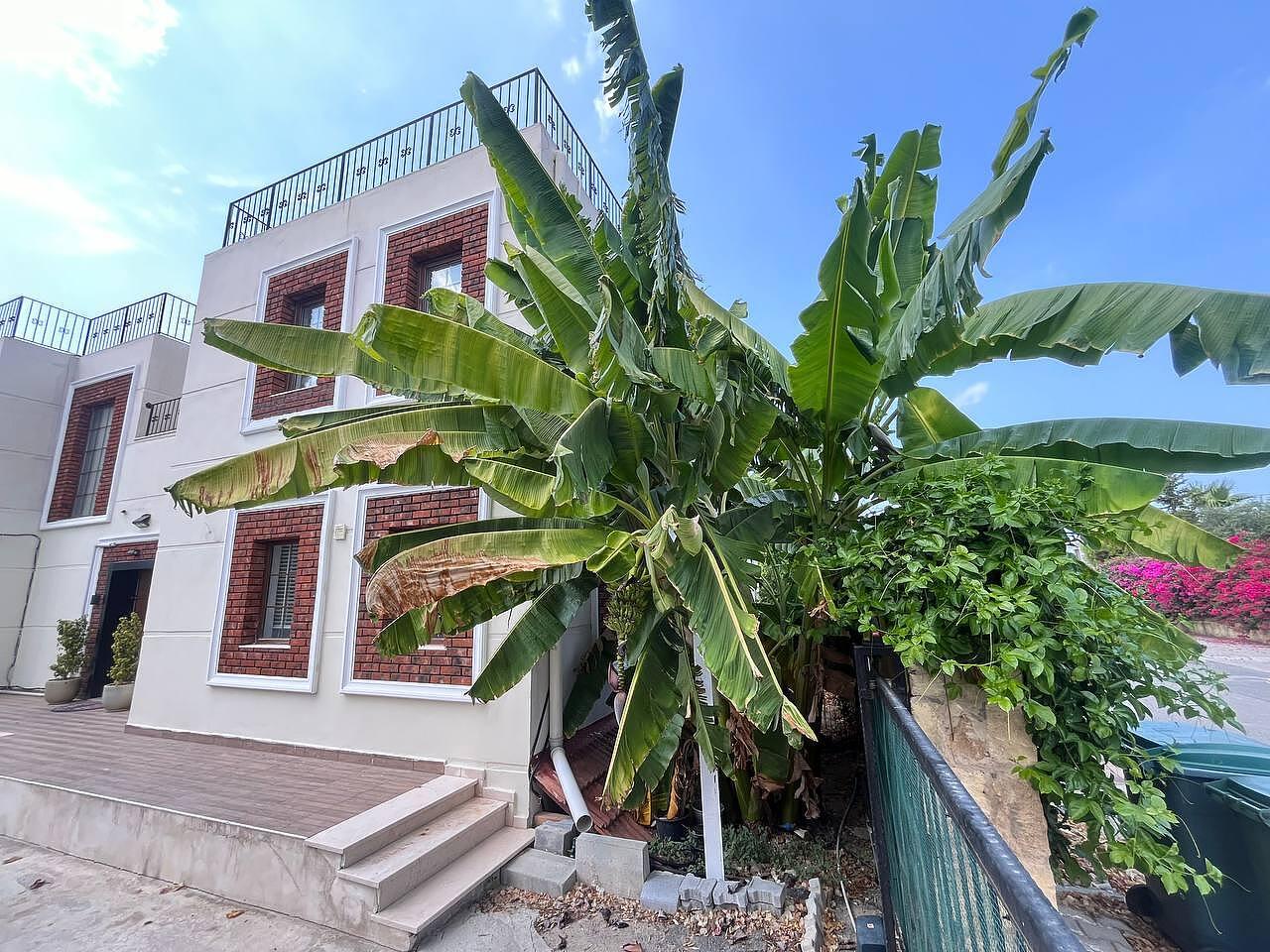 Apartments in Çatalköy, Girne (ECN-00466) — photograph 5