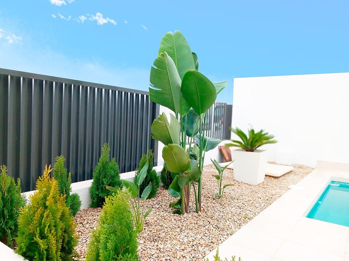 Apartments in Los Altos, Torrevieja (ALC-00524) — photograph 2